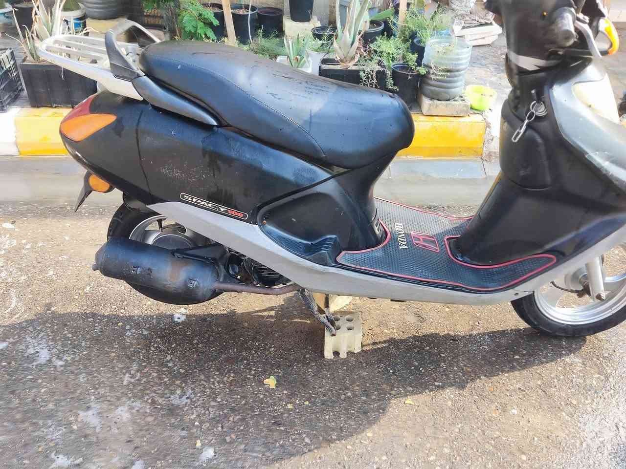 سبيسي • سلف • كهربائيات