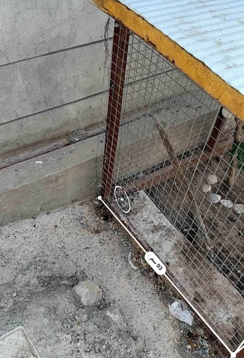قفص للبيع

قفص للبيع، متعدد الاستخدامات ومناسب لتربية الدجاج والطيور والكلاب 🐔🐦🐕
متين وعملي، وينفع للبيت أو الحوش أو المزرعة.

للمهتمين والاستفسار، مراسلة خاص
او واتساب ‭***********‬

خانقين
