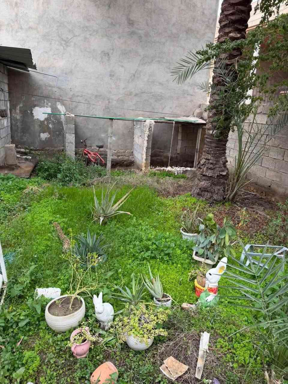 🏘️فرصة أستثمارية مميزة للبيع🏡

🏡 بيت + مشتمل للبيع

✅ طابو ملك صرف

📐 المساحة الكلية: 300 متر²

📍 الموقع:

ديالى – خانقين – منطقة توله فروش

فرع جانب تربية كوردستان – فرع هژار أبو باله – فرع الصب.

🔹 البيت: بناء قديم.

🔹 المشتمل: نظافته حوالي 65%.

🔹 العقاران مؤجّران حالياً ويحققان دخلاً شهرياً.

🔹 إمكانية سحب قرض عقاري على العقار (بحسب شروط وتعليمات الجهة المانحة).

💰 السعر: 80مليون دينار عراقي (بسعر الأرض ينباع، 

ويباع العقاران معًا).

📞 للاستفسار:

المهندس ئوميد

***********

#ملاحظة: يمكن أيضاً تكدر تسحب علية قرض عقاري ✅

— في ‏خانقين توله فروش‏.
