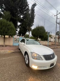 شاهینەی موس • ٢٠٠٧ • فتحة سقف