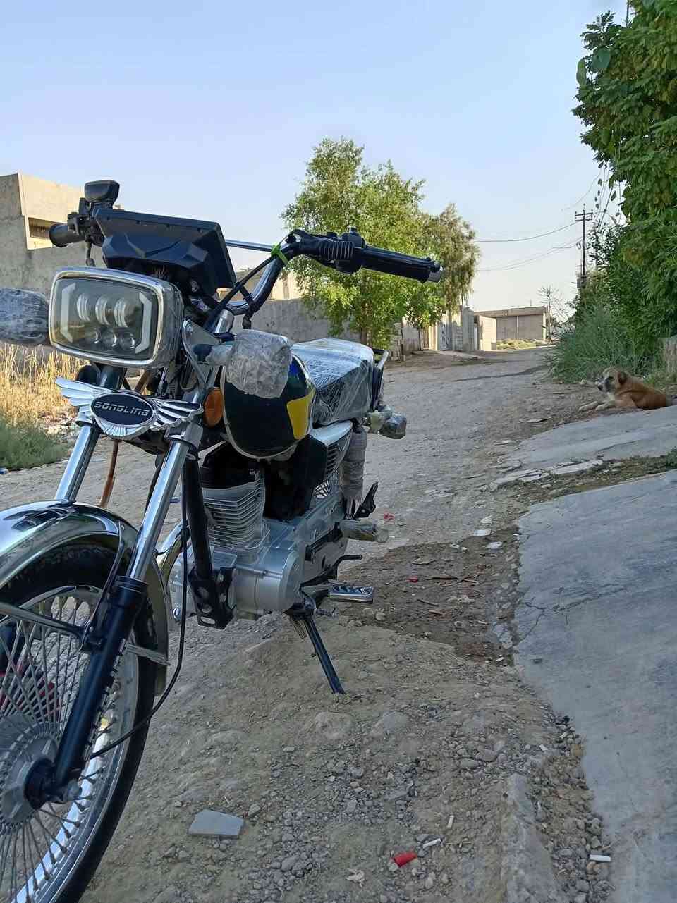 سلام عليكم دراجه لبيع موديل 26دراجه شرط كفاله نطيكياها فقط يرادله. فيوز شاشه باقي شرط كفاله وراق صوليه مكان ديالى بعقوبه السعر 700بيهة مجال تصل ودلل ***********
