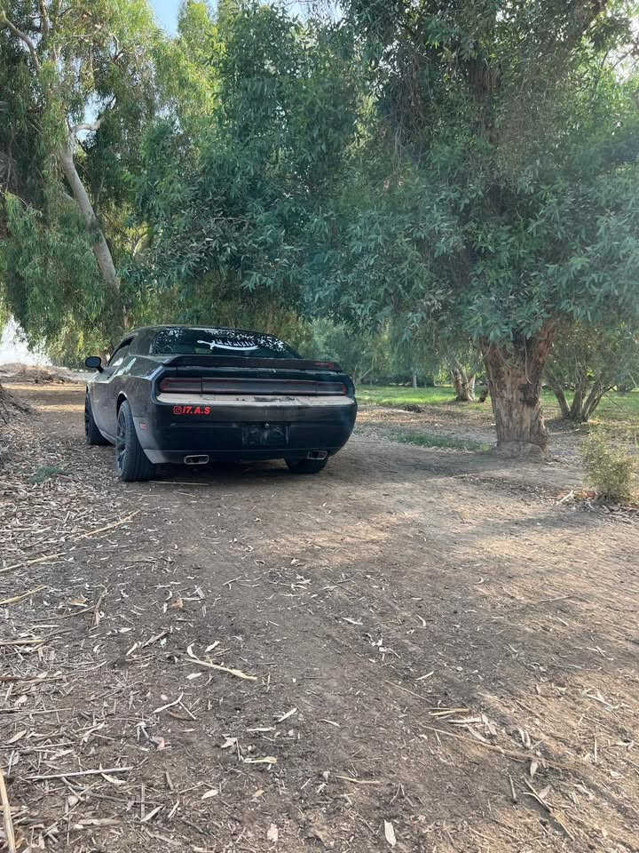 مديل ١٢ 
***********
