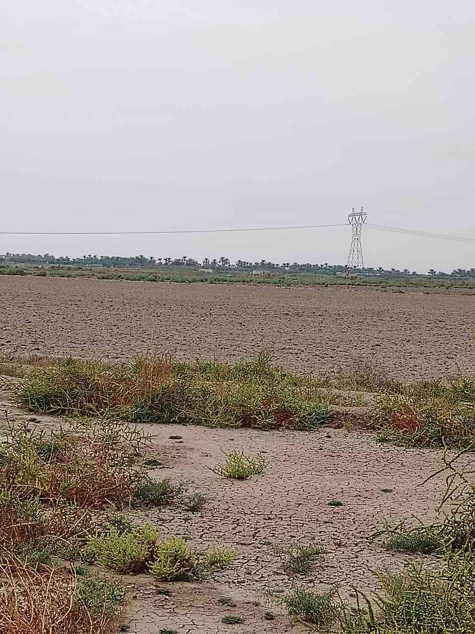 الرحمانية • ٥٧ دونم • ماء سقي