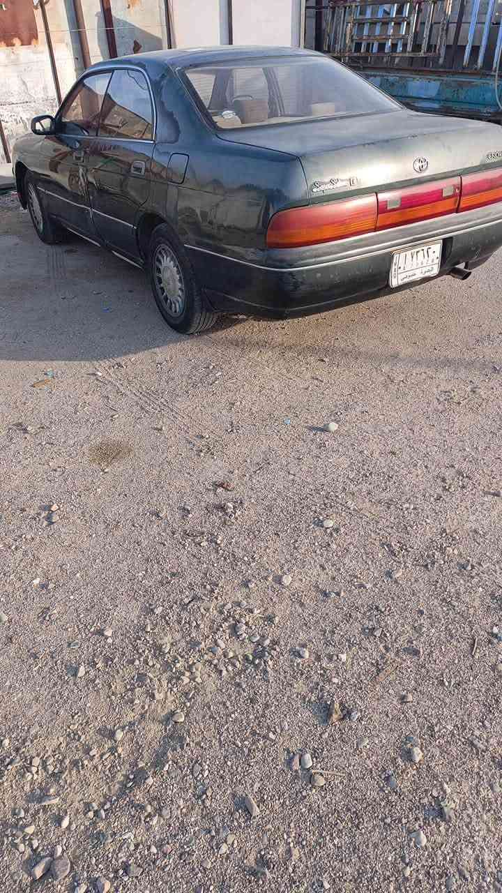 بطه • نقل جثه • كفاله حادث