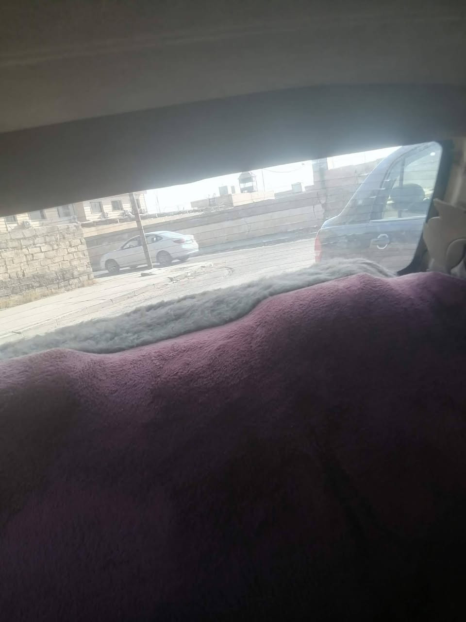مارك للبيع او مراوس سياره حلوه وبلاادي السعر 40بيها مجال مكانها صلاح الدين تكريت اخوان اني مكلف بل نشر ***********اي ملاحضه اتصل عل الرقم
