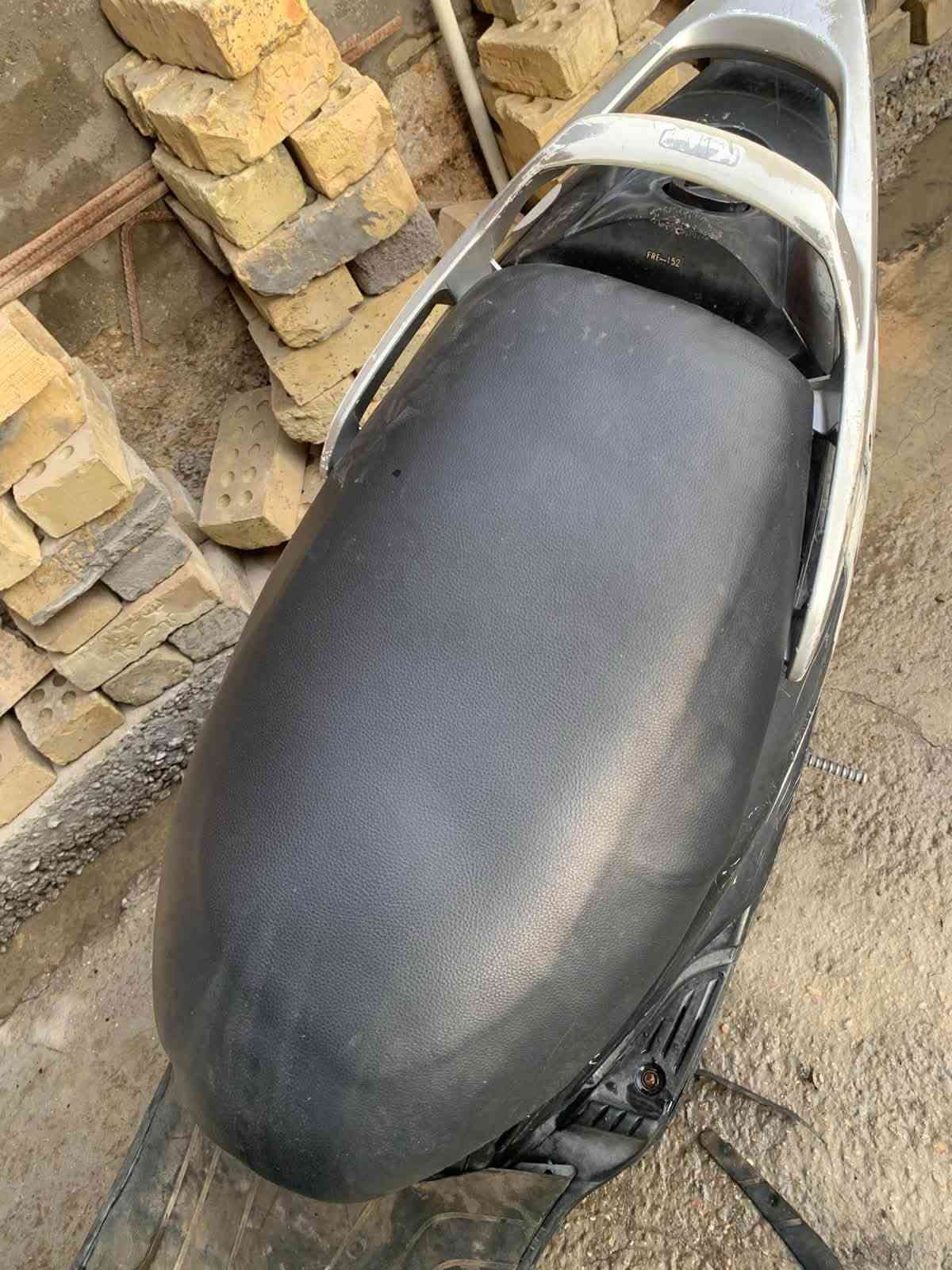 ماكس • ١٤٠ • ثعلب