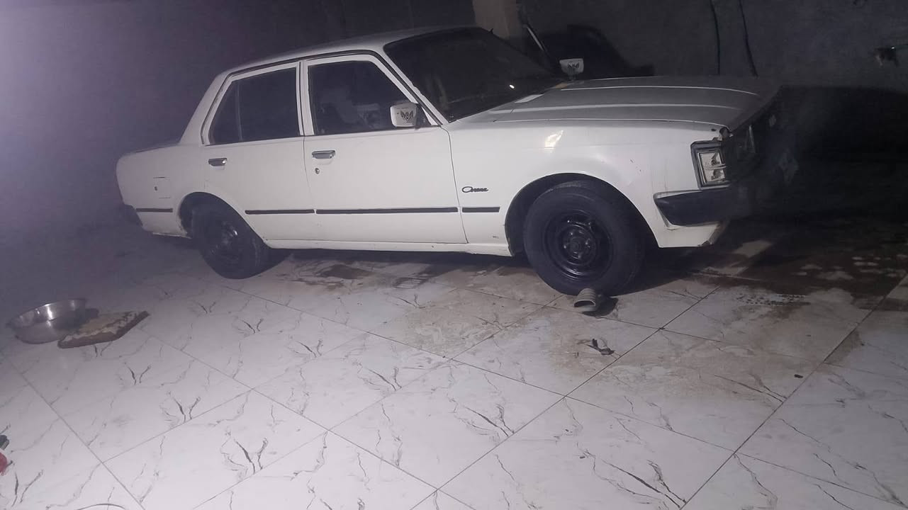 كراون لبيع جاهزه رقمه تمين راعيه شيل من بيته ماندله سعره 15بيه مجال ***********
