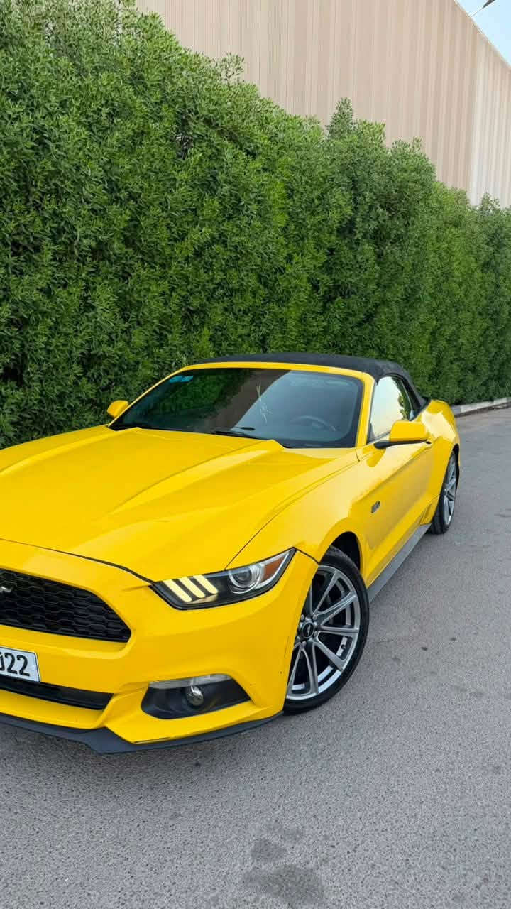 �🔥 للبيع | FORD MUSTANG 2015 CONVERTIBLE 🔥🔥
🇺🇸 فورد موستنغ 2015 كشف
🏁 محرك 3.7 V6
⚙️ أوتوماتيك | دفع خلفي
🔓 كشف كهربائي
📍 الممشى: 103 ألف ميل تقريباً
🔢 رقم بغداد مميز ⭐

✨ شكل رياضي وفخم وحضور قوي بالشارع
🚘 السيارة جاهزة للفحص
🔍 الفحص مفتوح للمشتري
حادث السياره جاملغ خلفي فقط بقيه السياره كلها سليمه 
🅿️
💰 السعر: 145 🍋
📞 للتواصل: ***********

🔥 Mustang… مو مجرد سيارة، هذا إحساس. 🔥

للجادين فقط، والله يرزق الجميع 🌹
