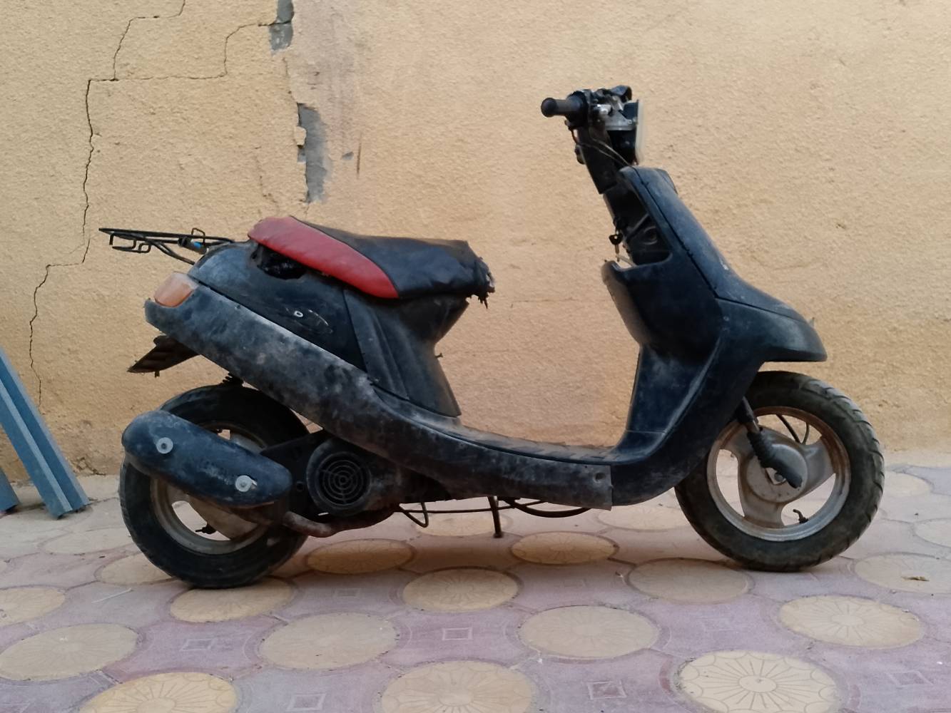 بطة • ٦٠ • ٢٠٠١