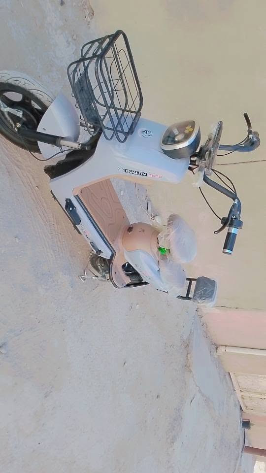 شحن ١٤ • ٢٠٢٦ • جديدة