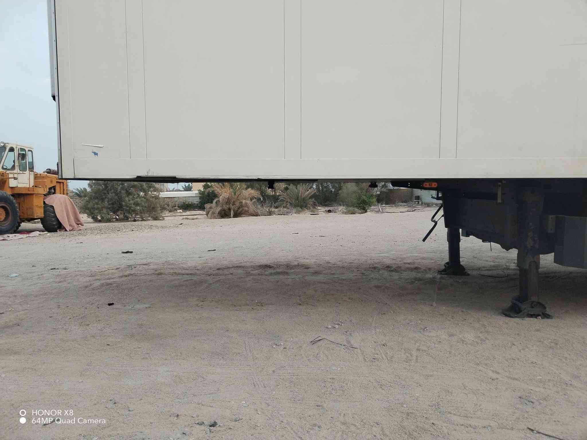 براد منفيس • دخول جديد • سمك ٧