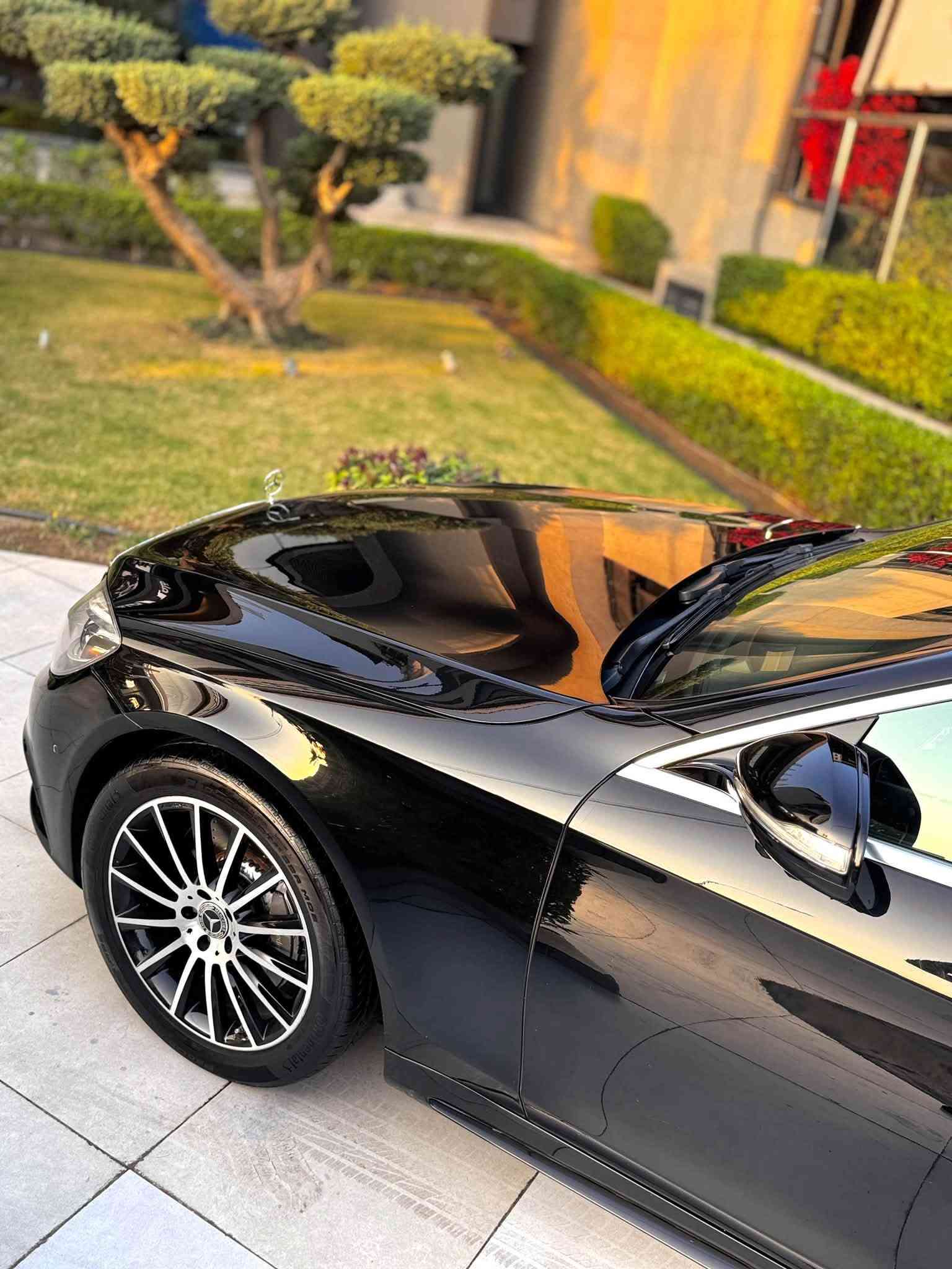 S550 • لارج • ٢٠١٦
