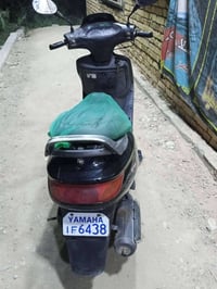فراشة • فحل • طويريج