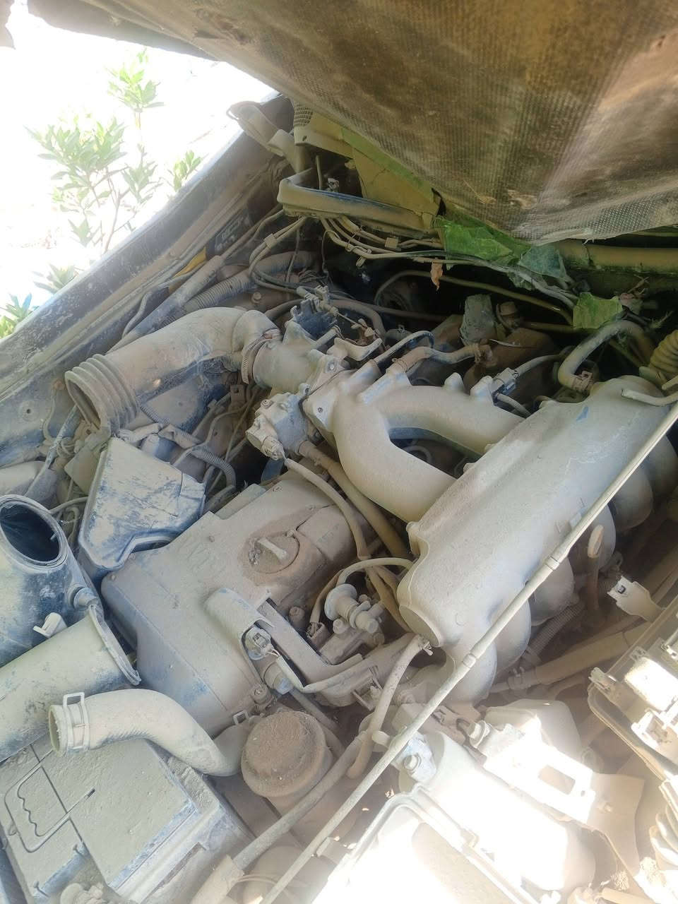 ارنب انكليزي • محرك VVT • رقم بصره