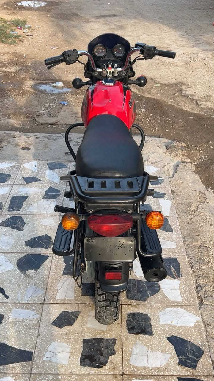 بوكسر جبلي • ٢٠٢٣ • اوراق ضايعه