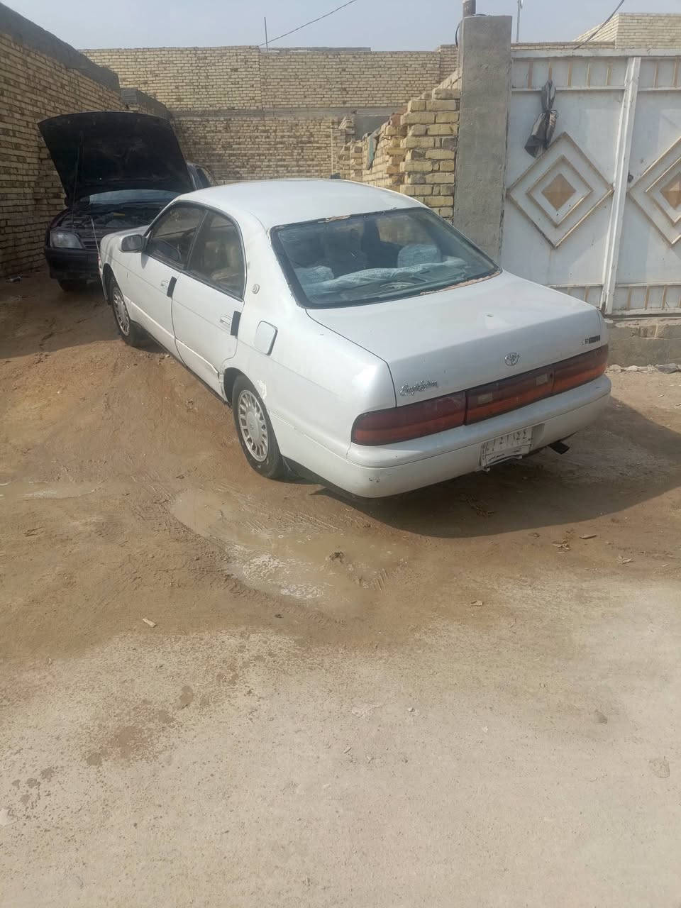 بطه • ١٩٩١ • رقم نجف