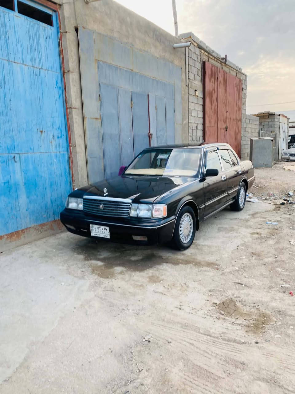 اسود • ٢.٥ • بصرة