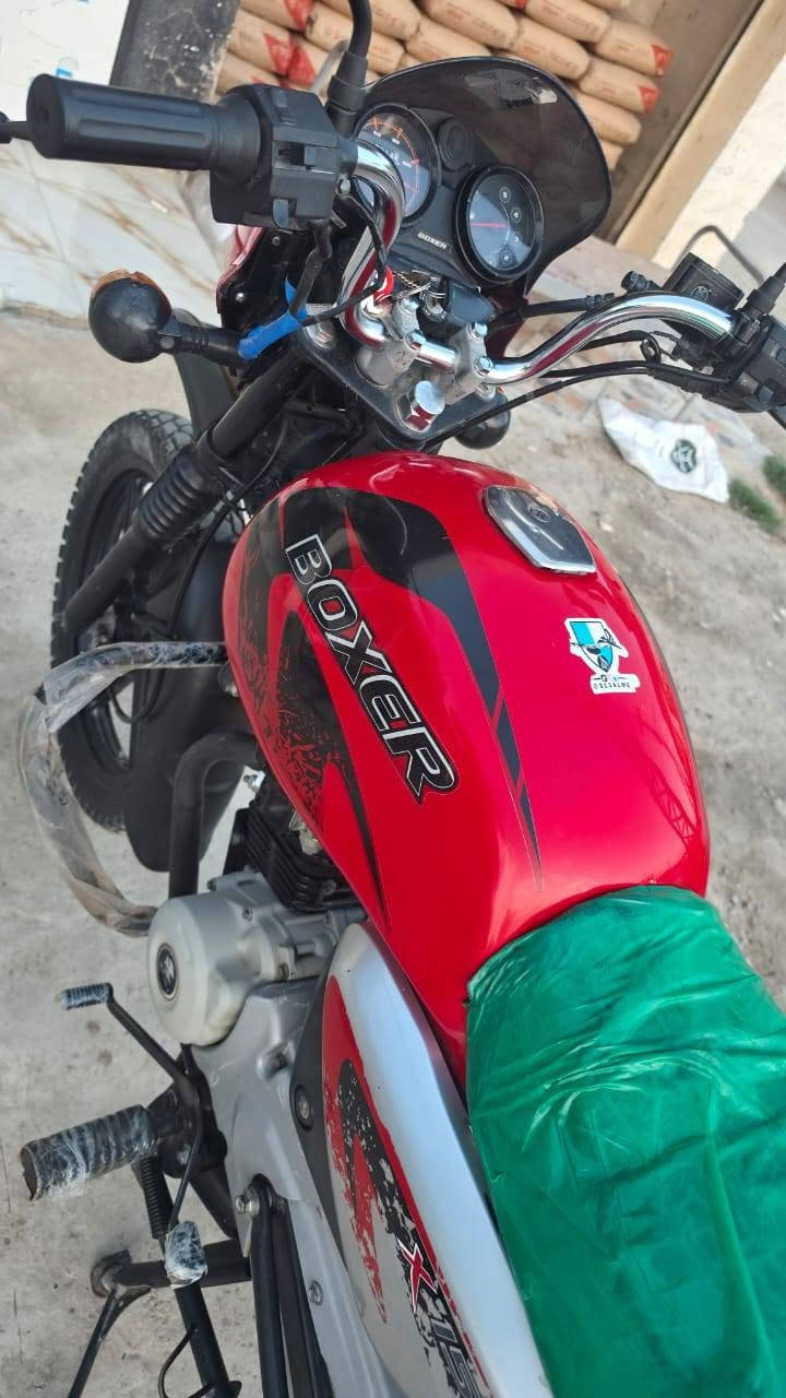 بوكسر • ٢٠٢٣ • مكفول