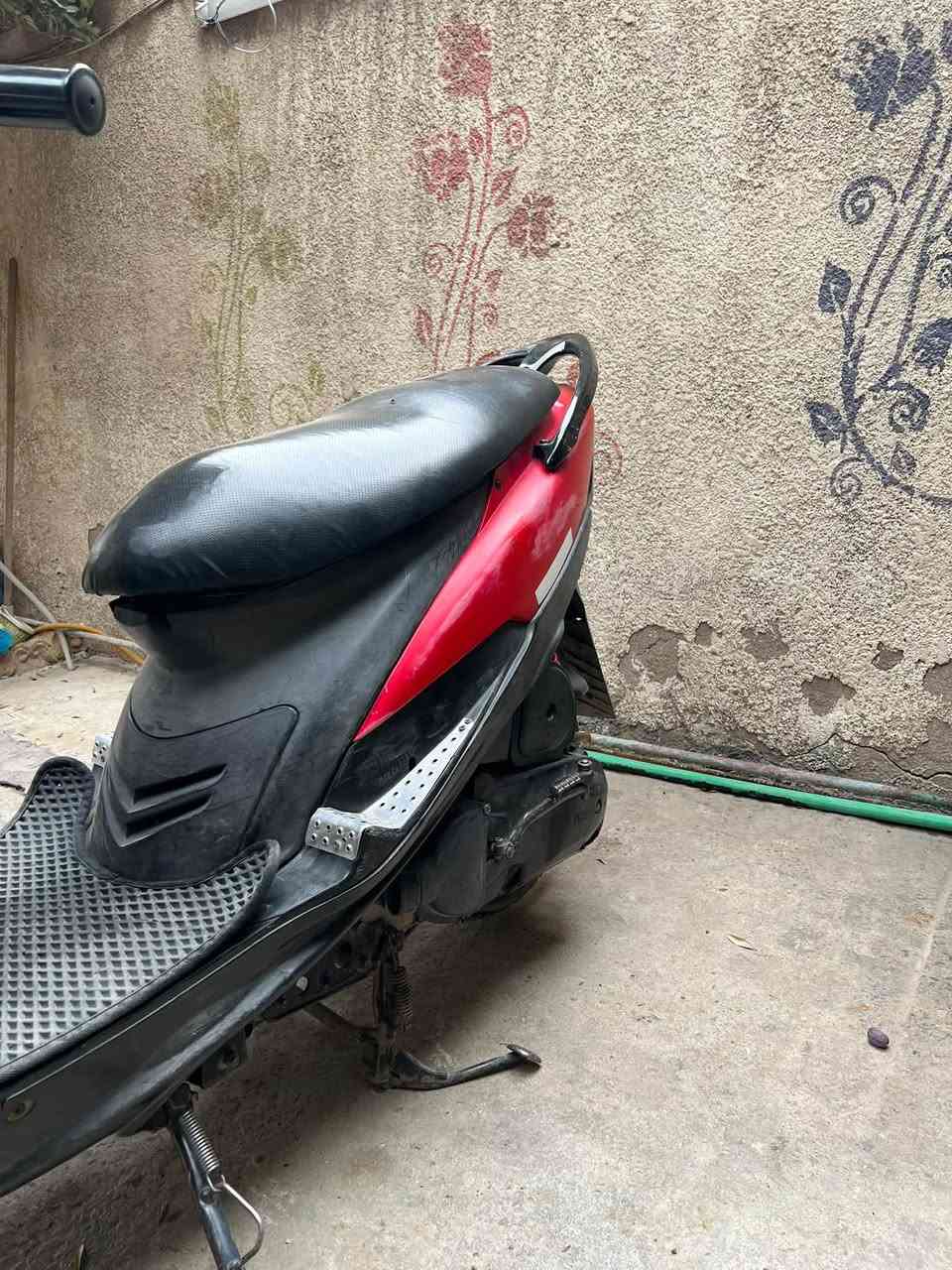 ماكس عدلة • بلادية • نشطه