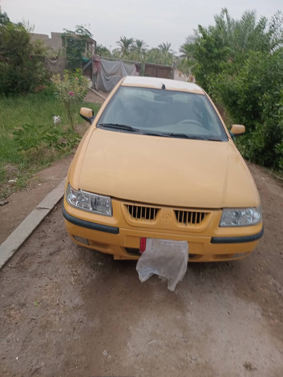 سمند • ٢٠١١ • رقم بابل