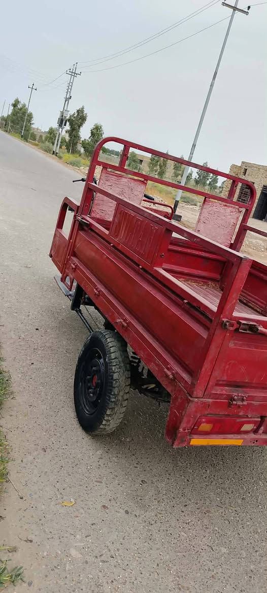 ستوته • اسود • سنويه