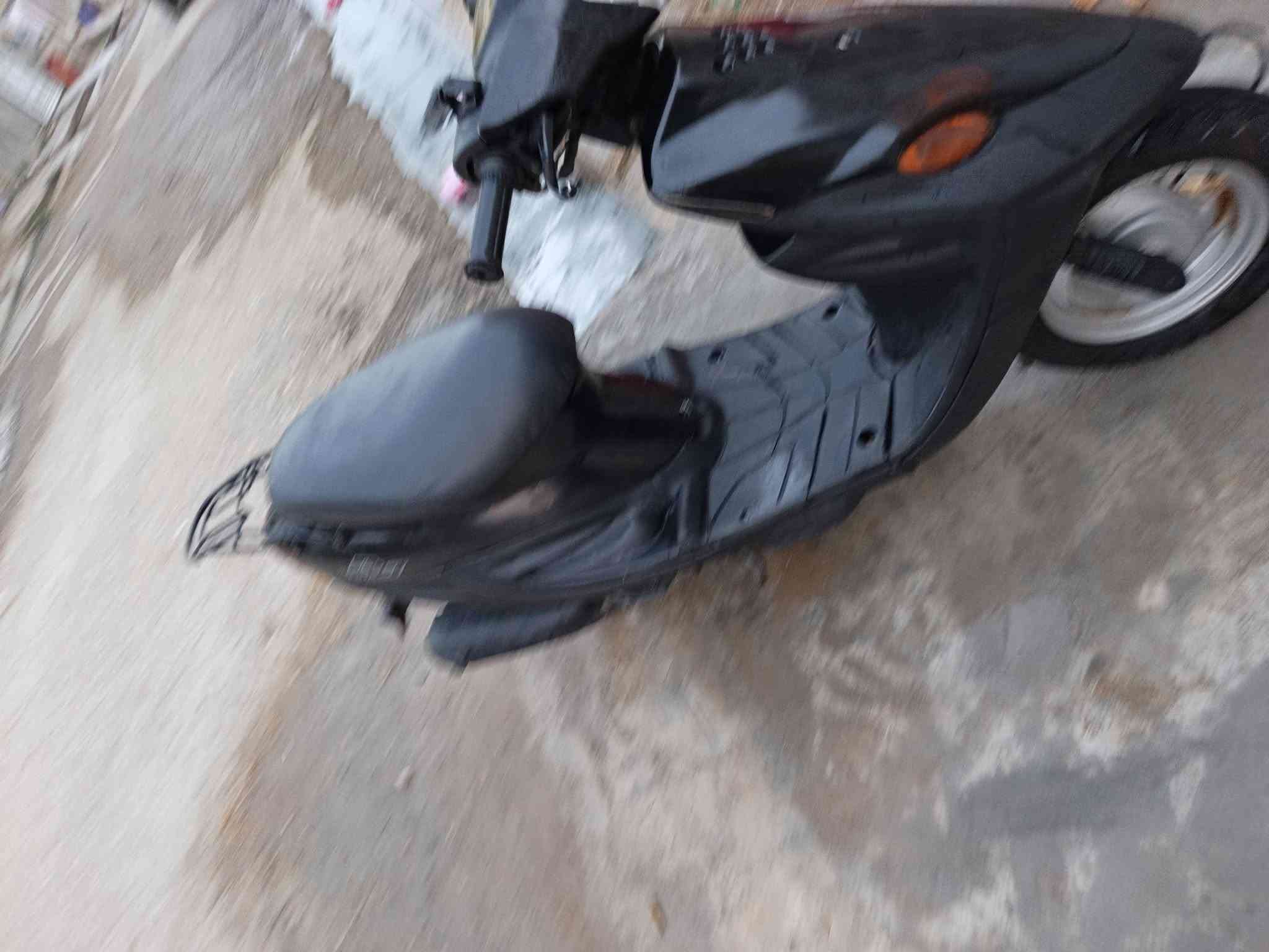 بيجي • نضيفه • سلف