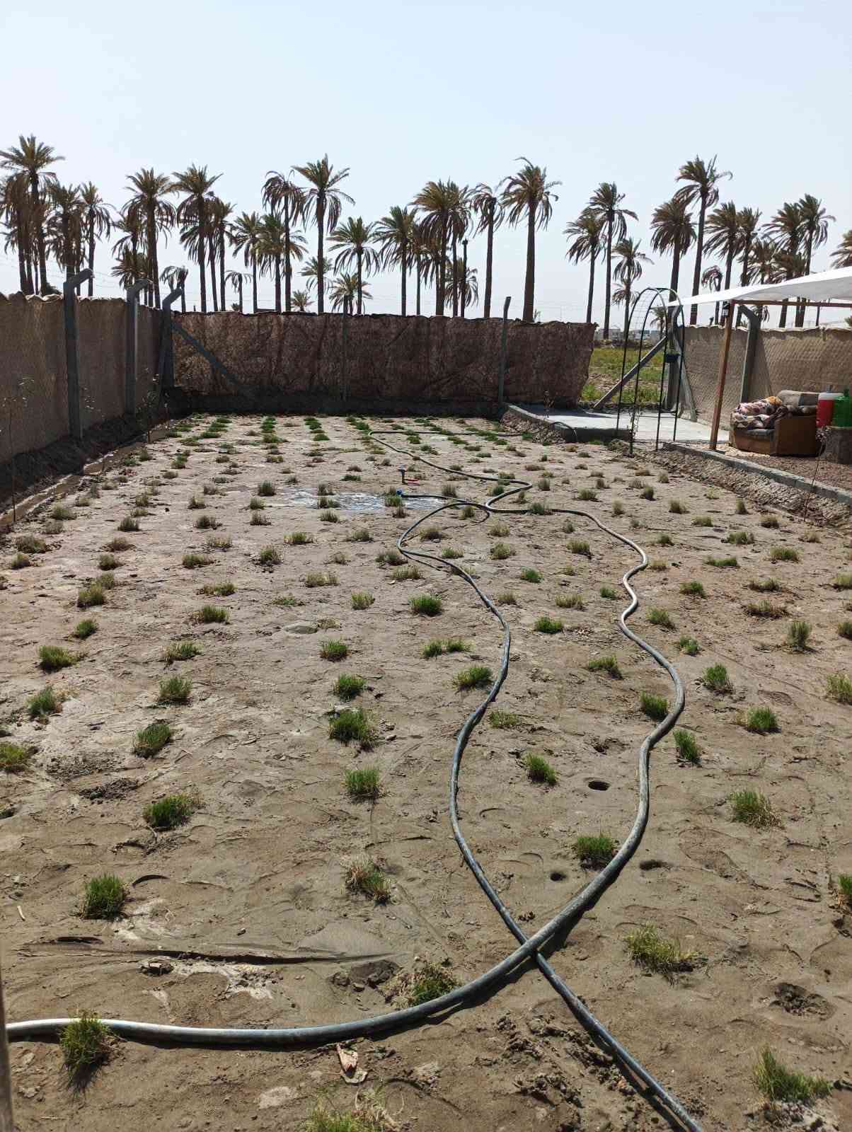 يالله قطعه للبيع بالبكرلي نقابة المعلمين  القطعه عبارع عن شالي مرتب مكان سياحي او متنفس طابو زراعي سند 25 مساحتها 200 متر باسم الشخص نفسه 
القطعه مرتبينها ومسويها كلش مرتبه ومزروعه اشجار وبيها ماء اساله وطاقه شمسيه وبيها صحيات ومكان شوي الاسماك 
مرتبه وحلووه 
السعر 20 وبيها مجال
لليرغب بالشراء او عرض عقاره للبيع او الايجار مراجعة مكتب عقارات حسين المعموري الكائن في البكرلي 
او الاتصال على الرقم *********** او واتساب
