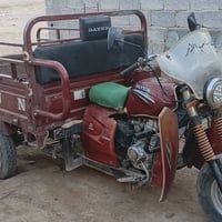 ستوته • موديل ١٩ • اوراق اصولي