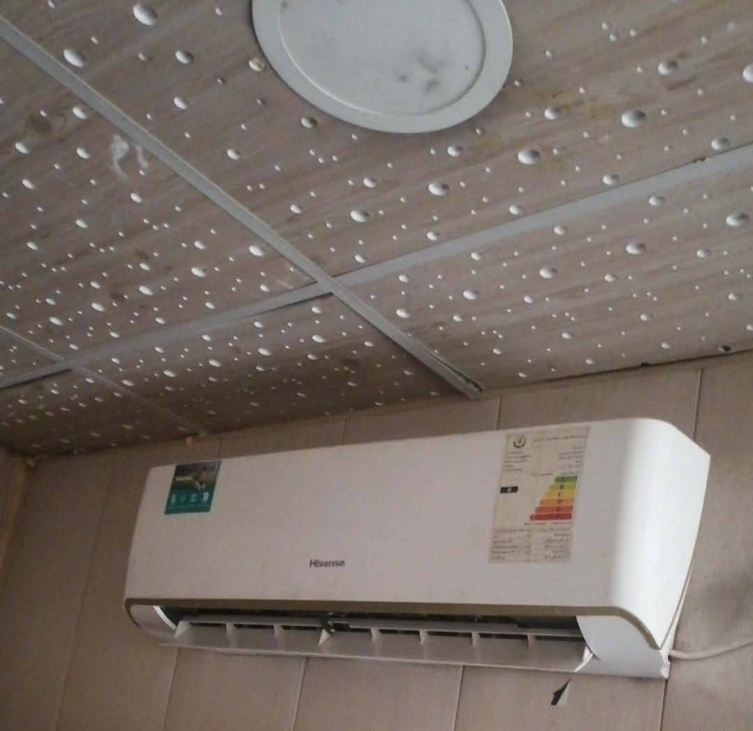 للبيع او مراوس بطنين او اكثر ضمان ٥ ايام مستخدم موسم واحد فقط 
مكان بغداد الدوره ***********
