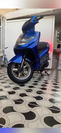 سكنس فحل • نوزل طلاعات • كفالة عامة