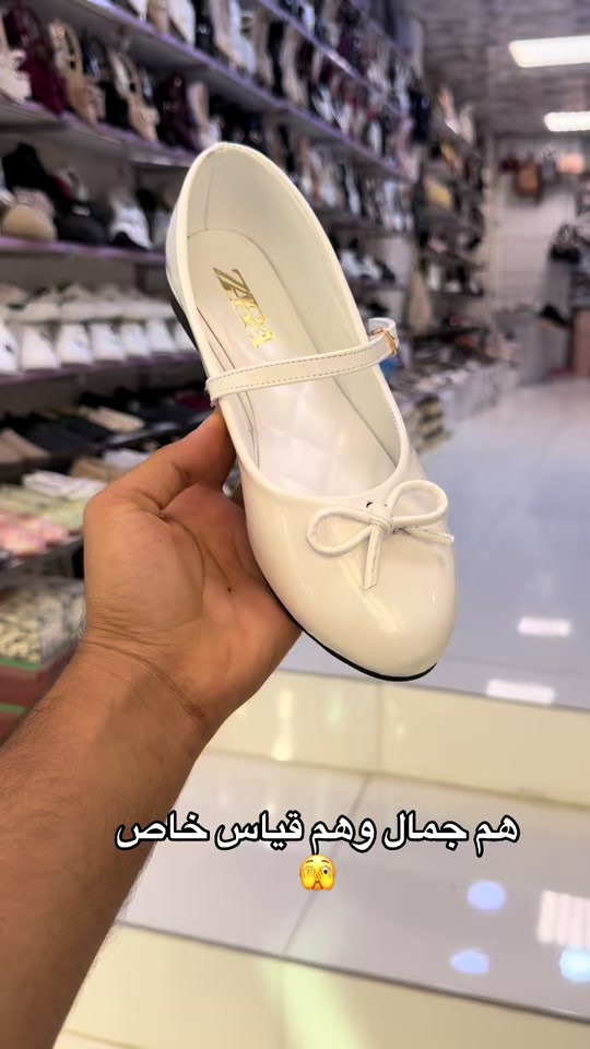 قياس خاص • جمال • لانجري