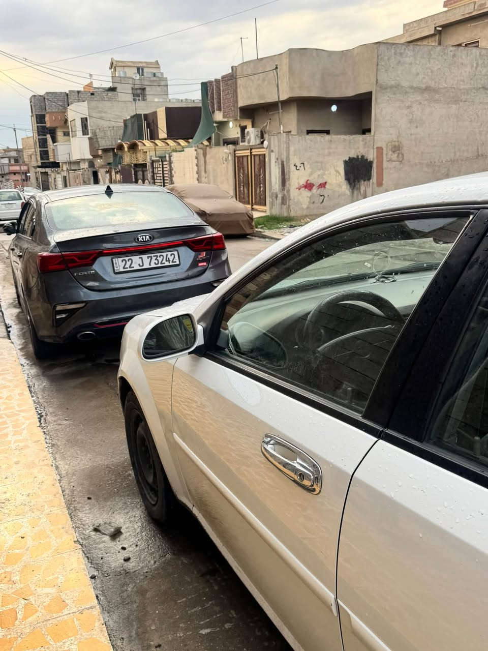اوبترا • ٢٠١١ • بدون صبغ