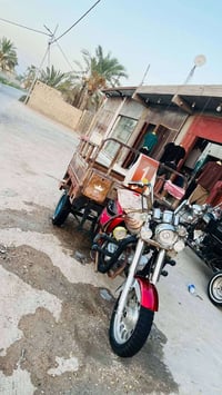 ستوته • مكفول • سماوه رميثه