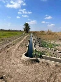 تاجي سبع البور • طابو زراعي • ٥ دوانم
