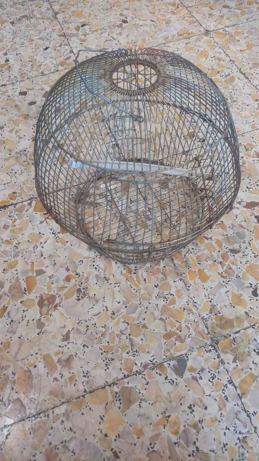 غراض للبيع • فرن • قنينة غاز