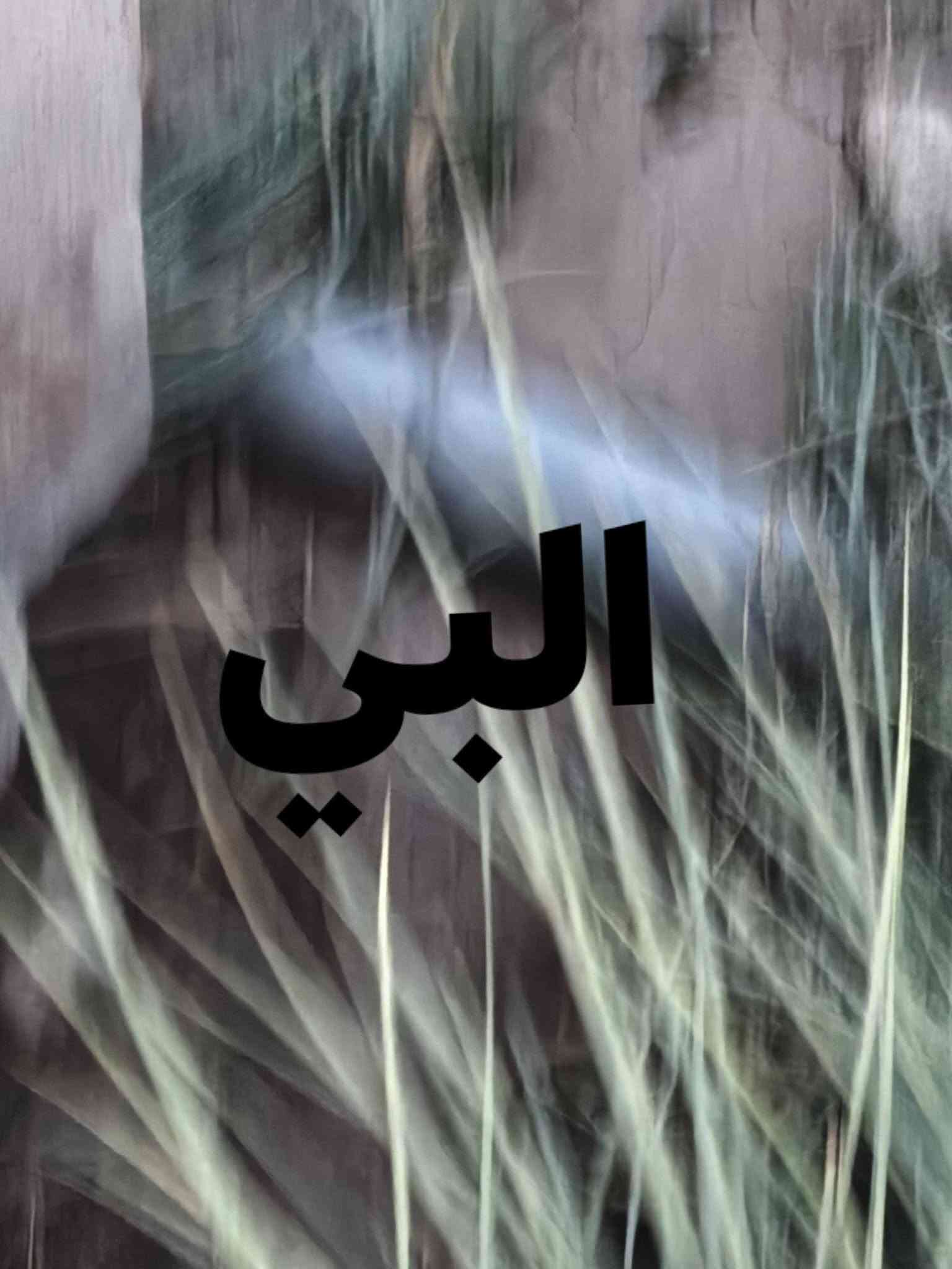 ١١ دونم • سند ٢٥ زراعي • طريق الديوانية-النجف