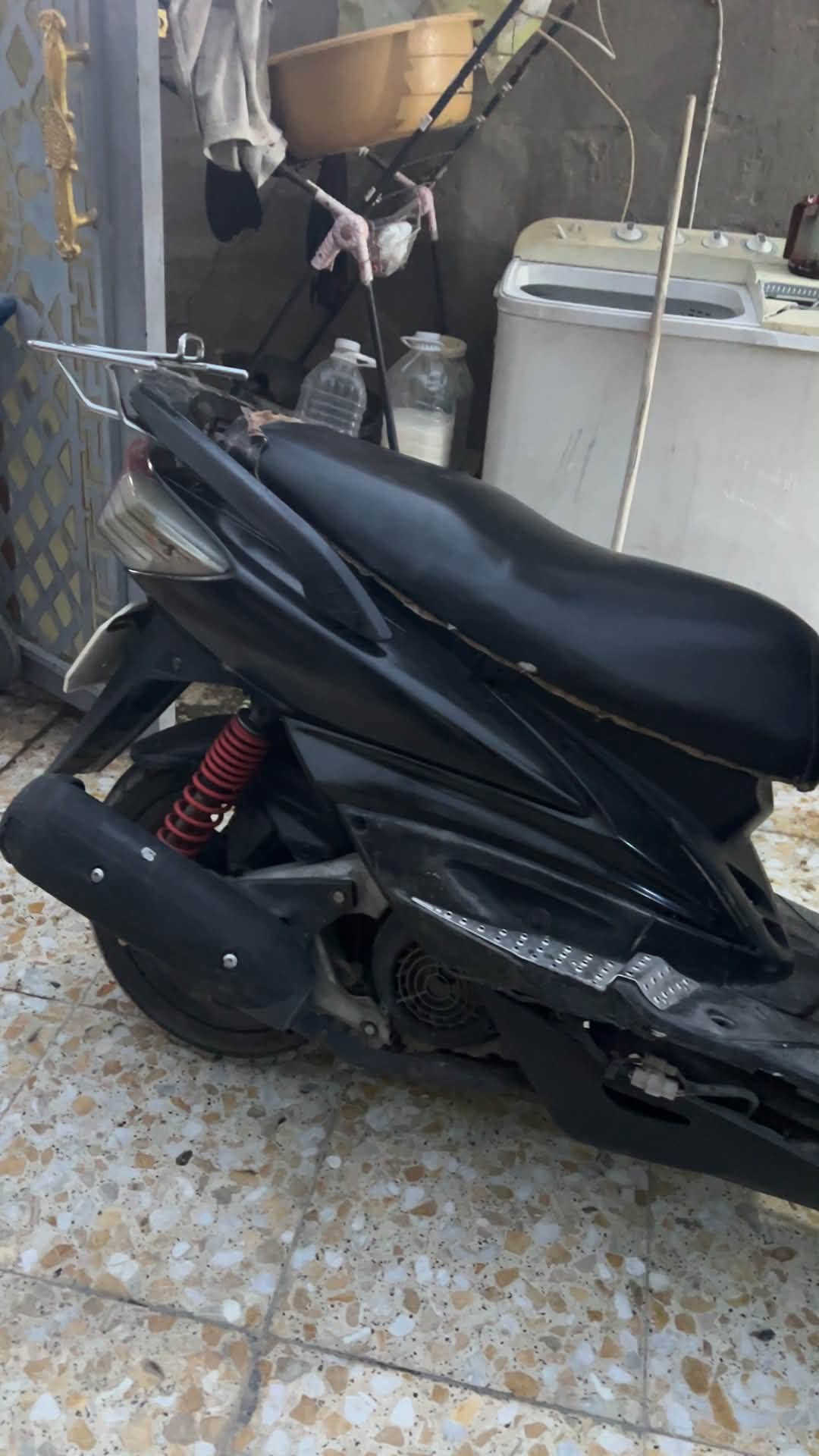 سكنس فحل • نضيفه حيل • أوراق كامله
