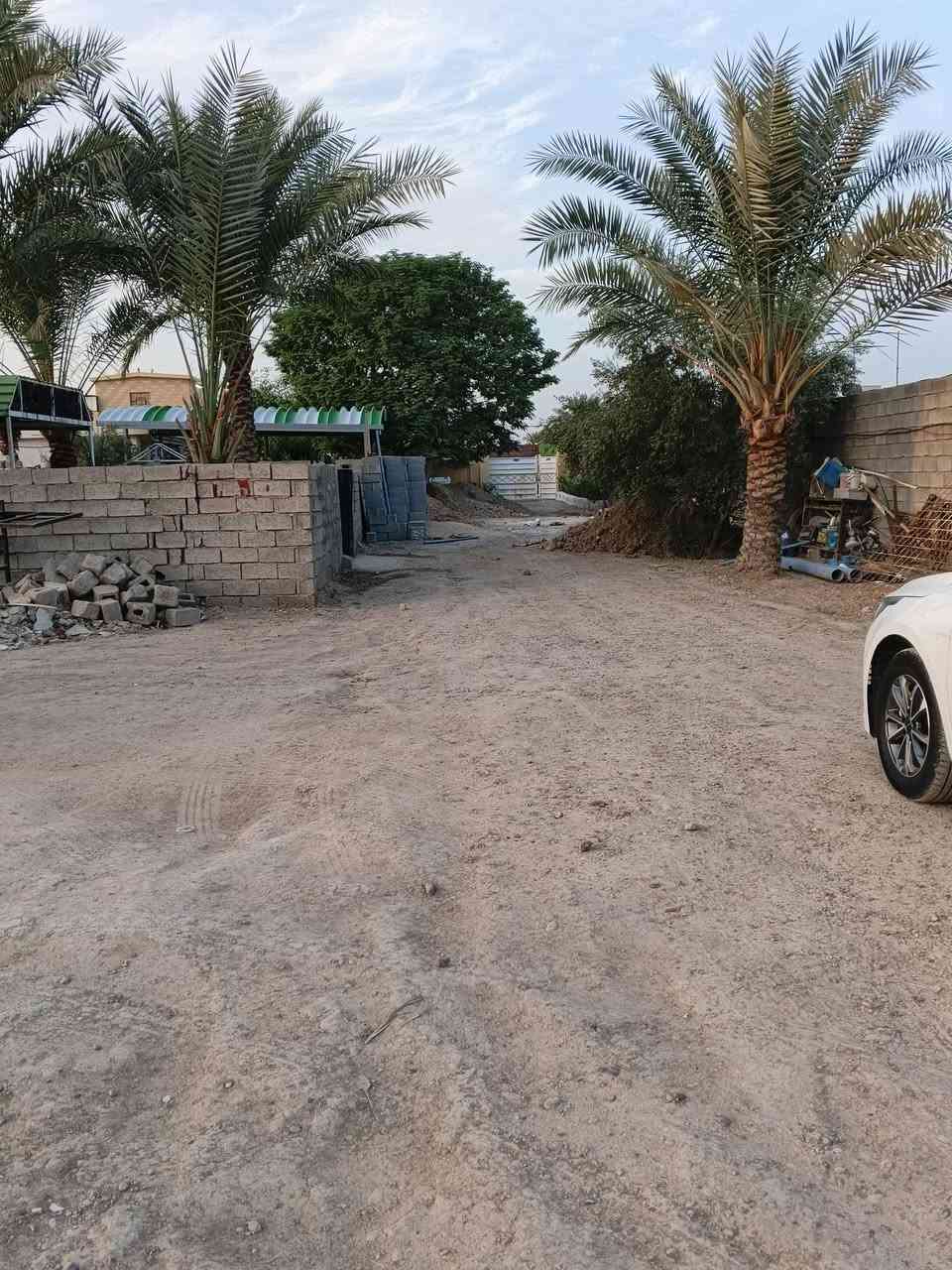 أبو غريب الشيحه • ٤٠٠م • طابو زراعي
