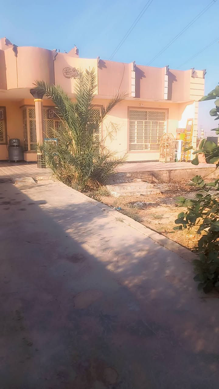 دار • دونمين • المحمودية الاسود