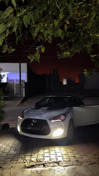 فولستر • ٢٠١٢ • رقم اربيل