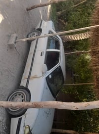 برنس • مكينة حلوة • كير عادي