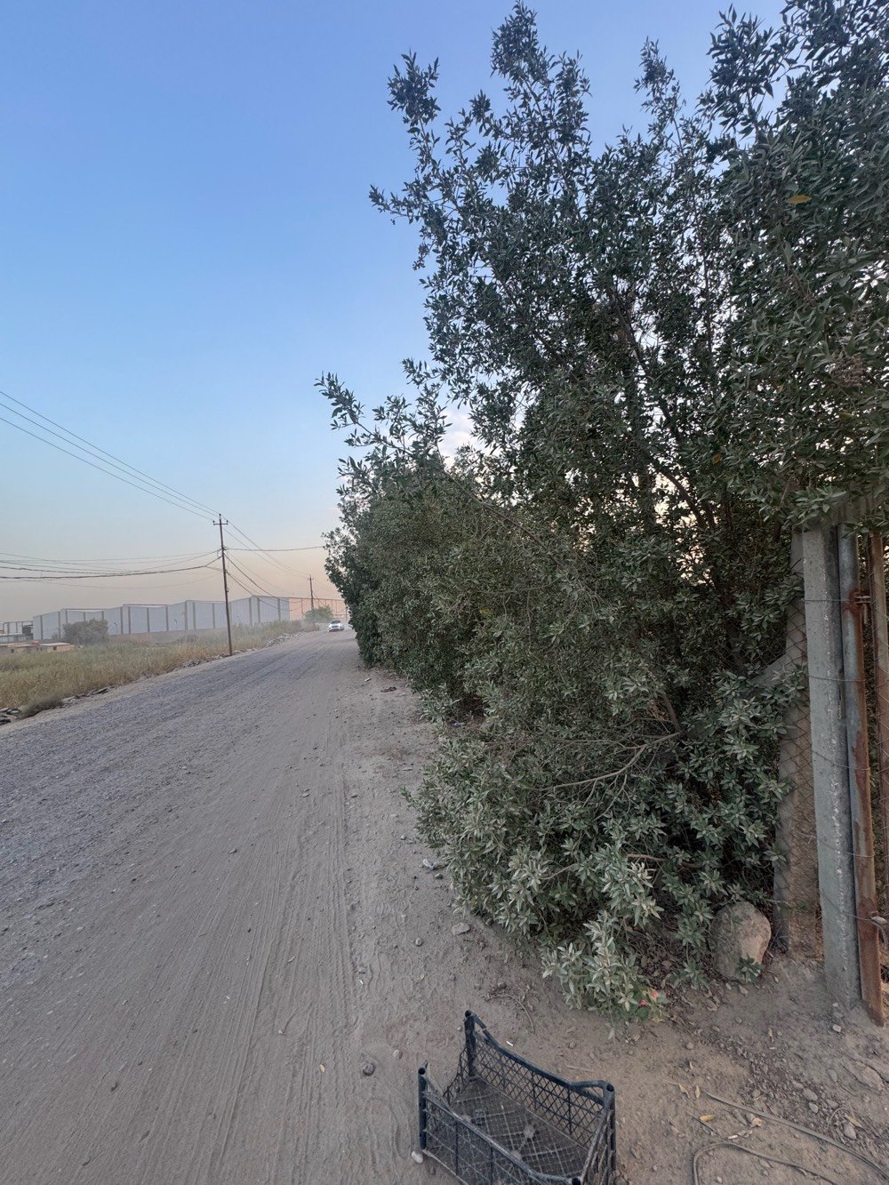 بستان للبيع طابو ملك صرف 
مساحته دونمين واقع حال ( دونم بالسند)
 البستان مطل على نهر ويحتوي على بيت صغير
سعر البيع  ب 425 مليون دينار
مكانه في جسر ديالى ( الكرغولية)
للاستفسار والشراء يراسل خاص