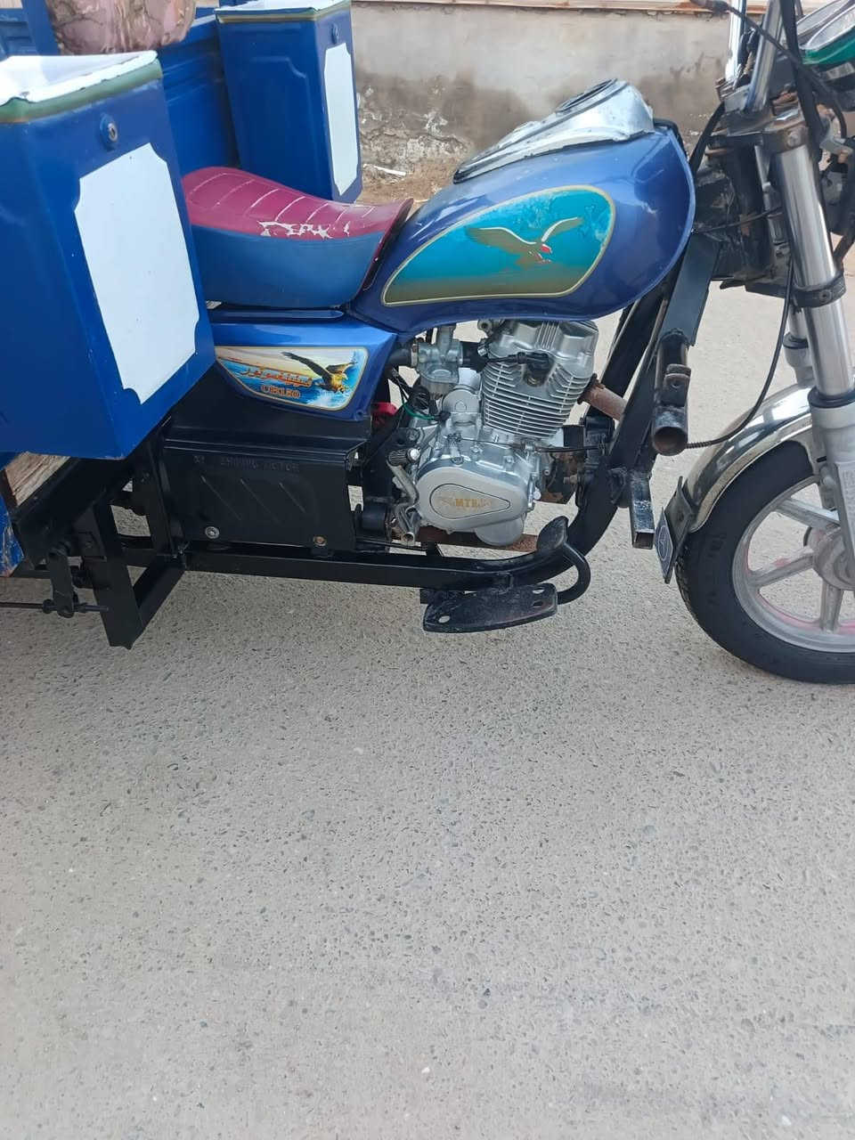 ستوته جمره 19مكفوله اصولي البيع  ***********مامتواجد على الفيس قضاا المدينه السعر واحد900وبيهاا مجال مكفوله من كلشي

