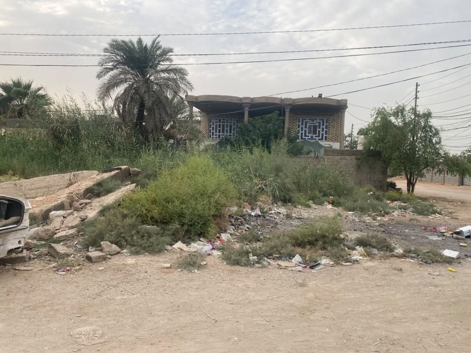 الكوفه جسر الامام علي • ارض زراعيه • ركنين على شارعين