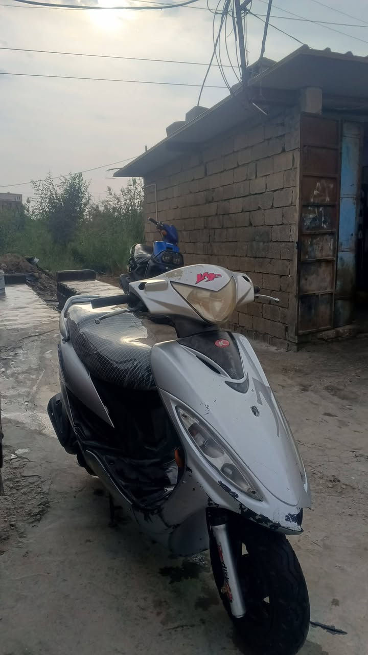 مراوس • سلف • نظيفه