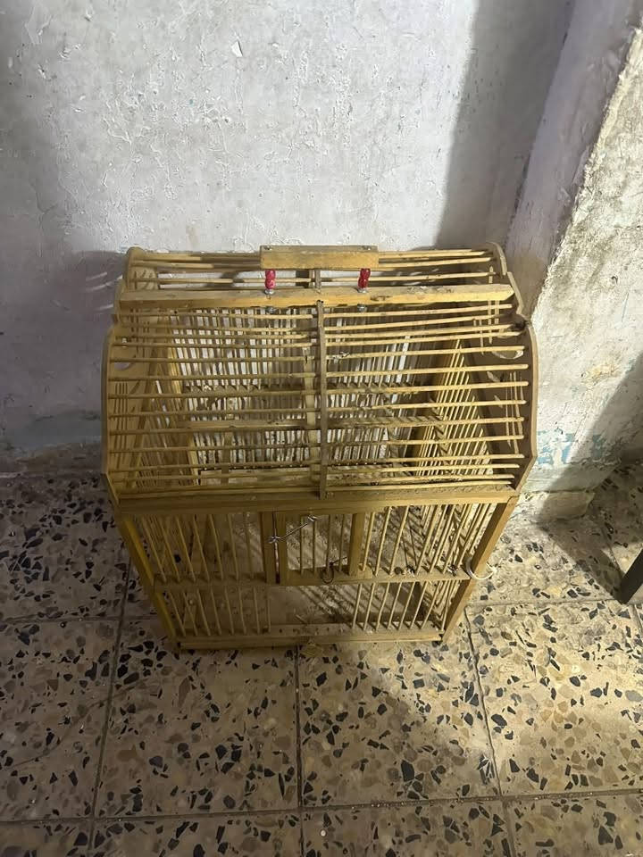 السلام عليكم غراض منزل للبيع
طباخ كله شغال  حتى الفرن50الف 
مبرده نضيفه الحجم الجبير بوب بلاستك 
بدون ماطور 40الف 
عجانه مال باله 25الف 
تنور غازي 25
قفص مال بلابل 25
صوبه نفطيه اصليه ما مستعلمه هواي 50الف
مكاني بغداد الحريه للتواصل واتس اب ***********
