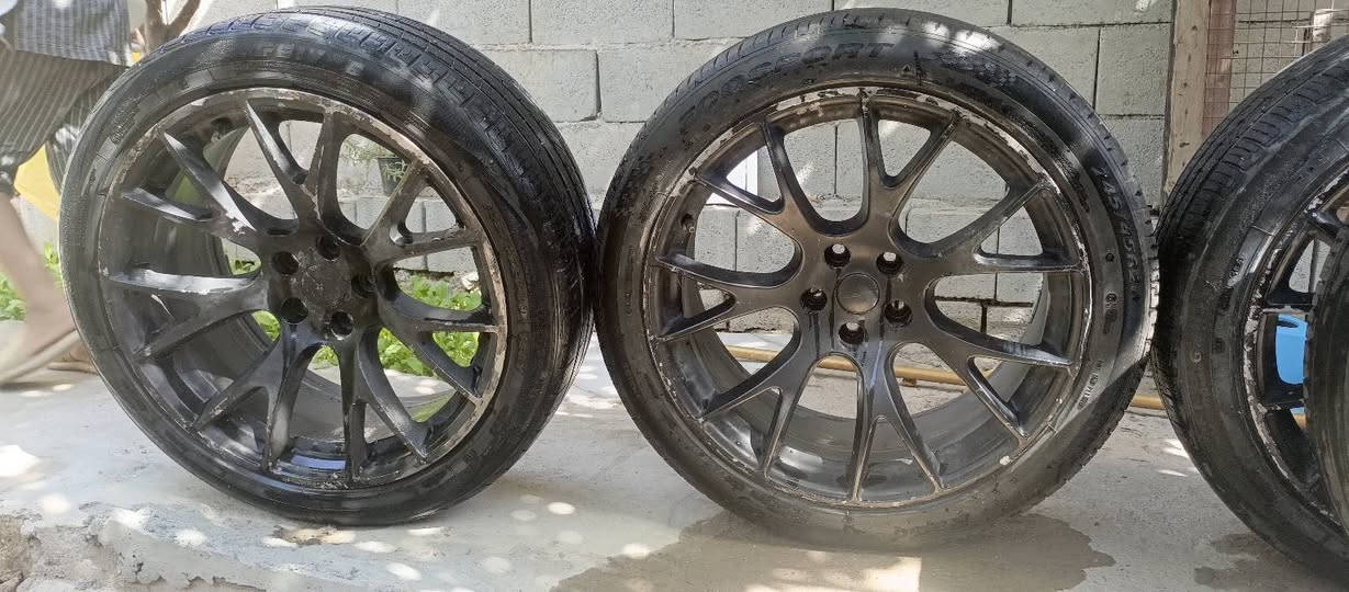 ويل عنكبوت 20البيع السعر 300الف بيه واحد فطر كامل وحاساس بيه‏‪***********‬‏
