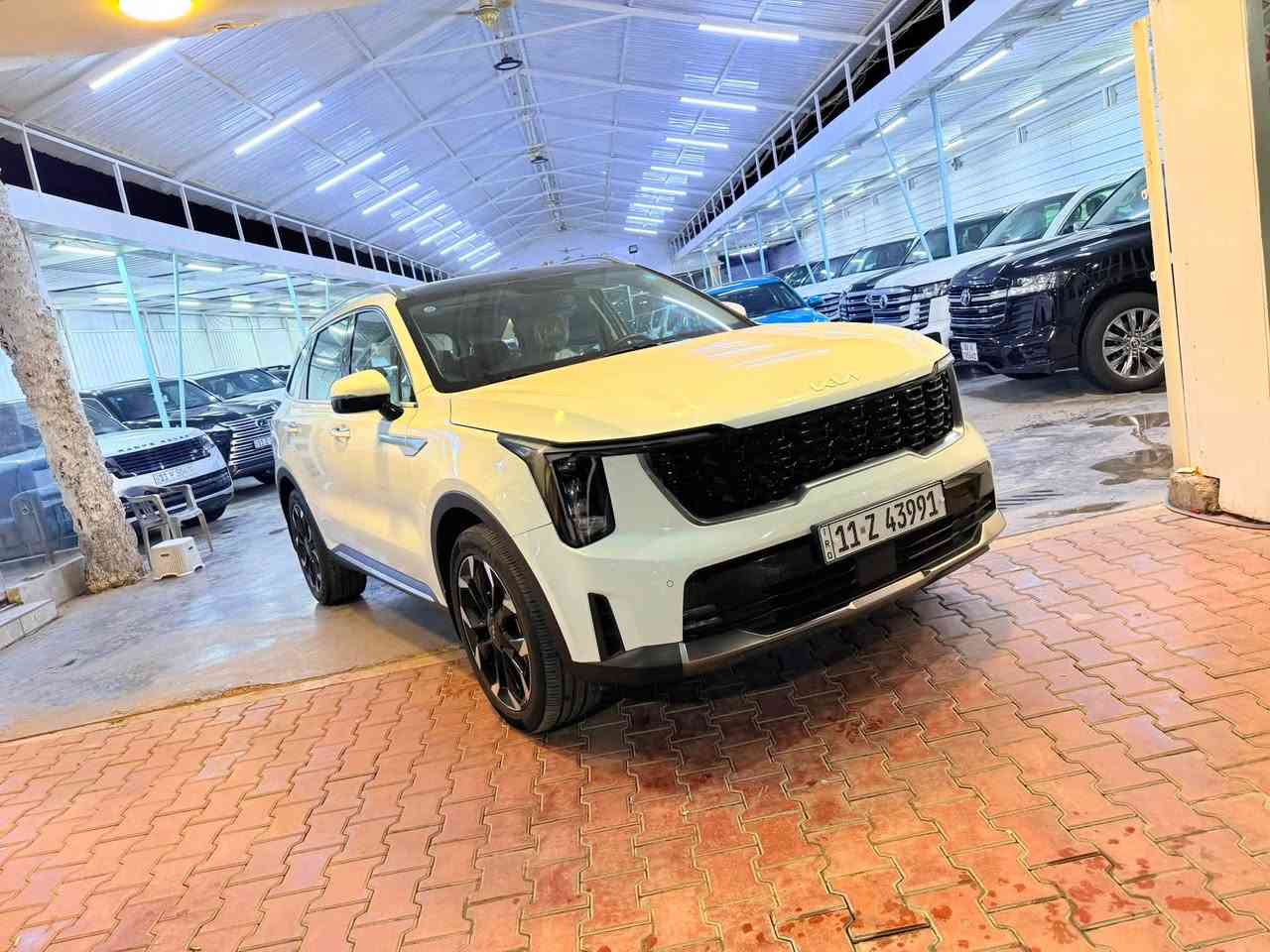 🔥🚘
🇰🇷 للبيع كيا سورنتو موديل 2025
✨ خليجي | رقم بغداد
🛡️ مكفولة
🎨 عدا مكانين BDR بسيطات
📏 ماشية 27 ألف كيلومتر حقيقي ✅

💎 مواصفات وتجهيزات السيارة:
🔹 بانوراما 🌤️
🔹 بصمة 🔑
🔹 تشغيل عن بُعد
🔹 ويل كب حجم 20 🛞
🔹 حساسات أمامية وخلفية 📡
🔹 شاشة كبيرة 🖥️
🔹 كاميرا خلفية 🎥
🔹 كراسي كهرباء ⚡
🔹 صندوق خلفي كهرباء
🔹 LED نهاري 💡
🔹 وباقي المواصفات الأساسية للسيارة

💰 السعر المطلوب: 302 ورقة
🤝 وبيها مجال شي بسيط

📍 مكان السيارة: بغداد

📞 للاتصال والاستفسار:
***********

🤍 بالتوفيق للجميع
