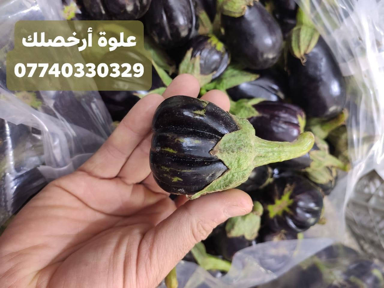 باذنجان مكدوس • خضرة متنوعة • توصيل الفلوجة