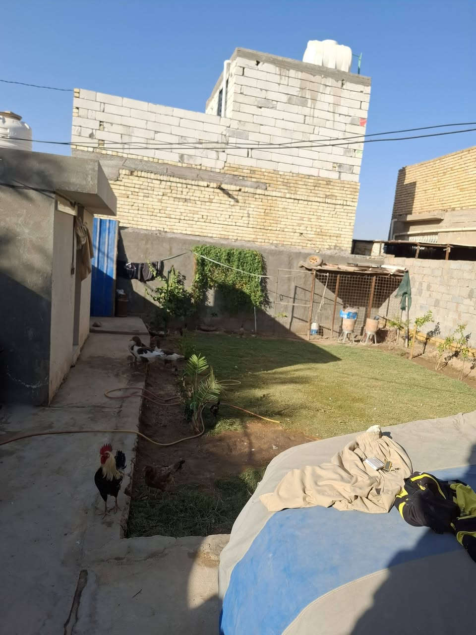 دار للبيع لمساحه 230يتكون من 3غرف وستقبال وصاله ومطبخ  صحيات خارجيه وداخليه لبناء حديث شغل درجه اوله امانة الله لموقع طريق لمعاره بضبط بصف لمضمد ابو زهراء لاتصال ***********
